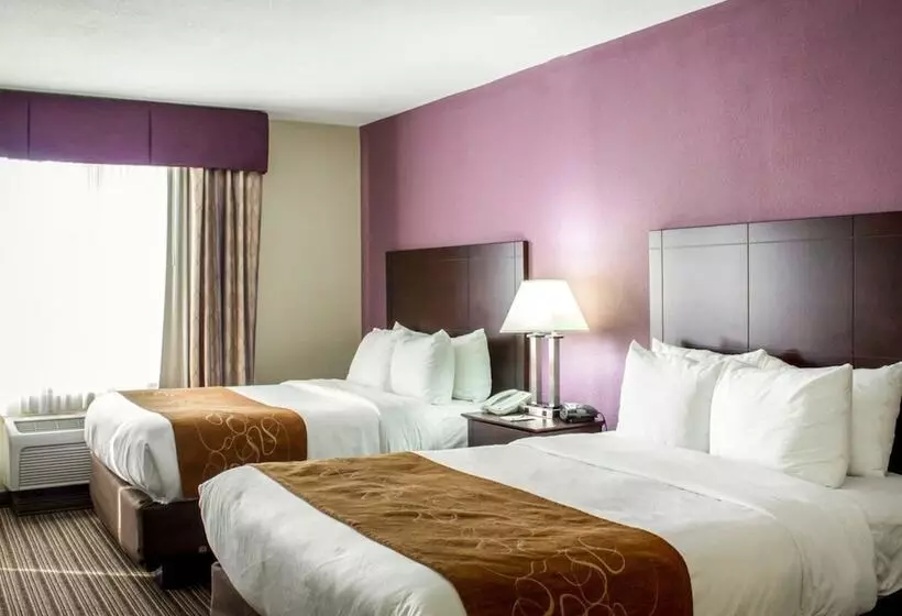 身障者適用スイートルーム, Comfort Suites