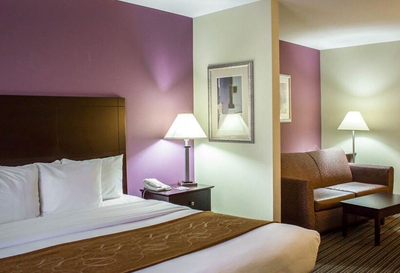 适合残疾人士使用的套间, Comfort Suites