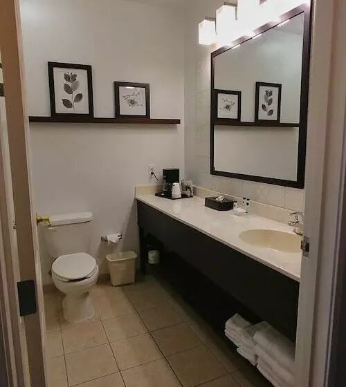 ハイドロマッサージバス付きスイート, Country Inn & Suites By Radisson, Chambersburg, Pa