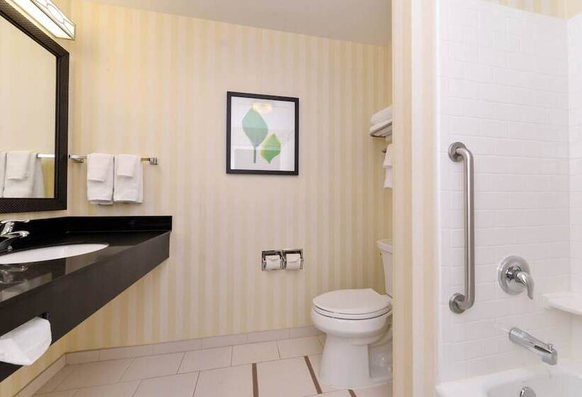 סוויטה אקזקיוטיב, Fairfield Inn & Suites By Marriott Cedar Rapids