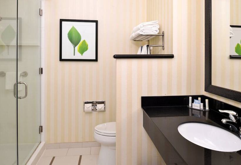 סוויטה אקזקיוטיב, Fairfield Inn & Suites By Marriott Cedar Rapids