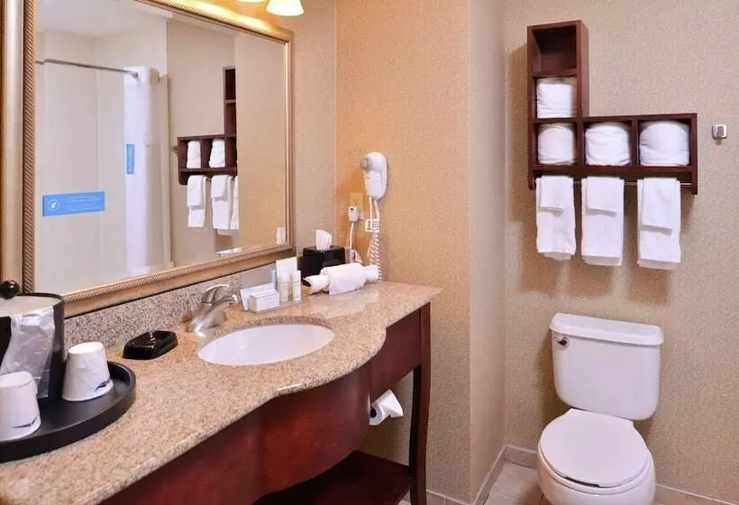 スタンダードルーム, Hampton Inn Jackson