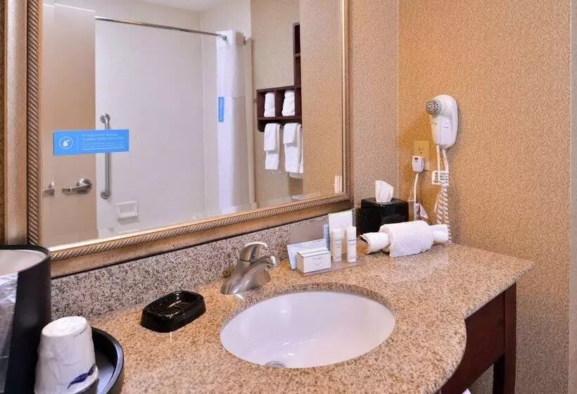 スタンダードルーム, Hampton Inn Jackson