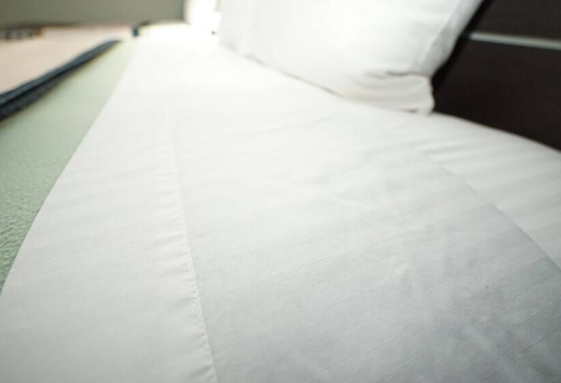 Номер Deluxe, Royal Inn Hudson I 94