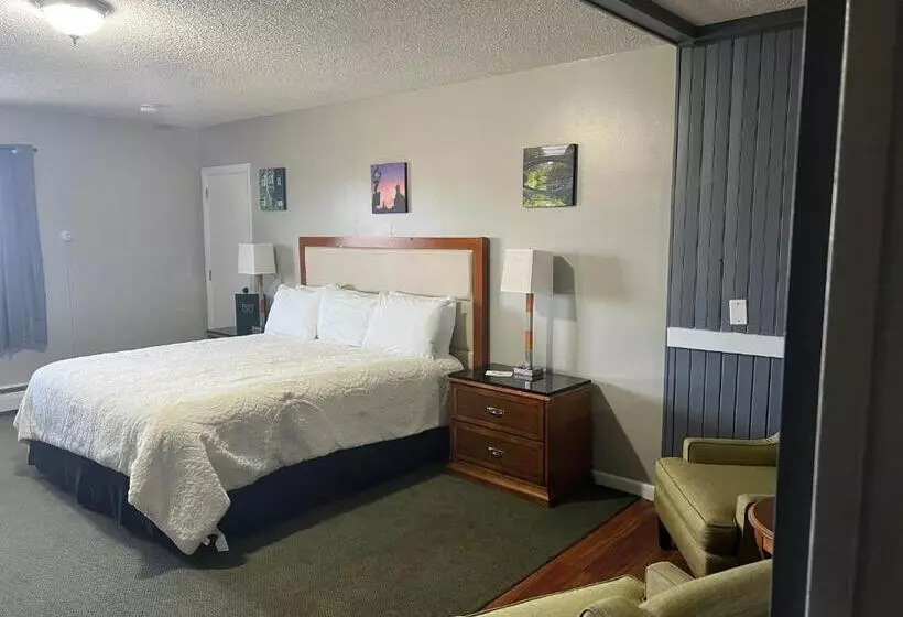 キングサイズベッドのスタンダードルーム, Vacationland Inn & Suites