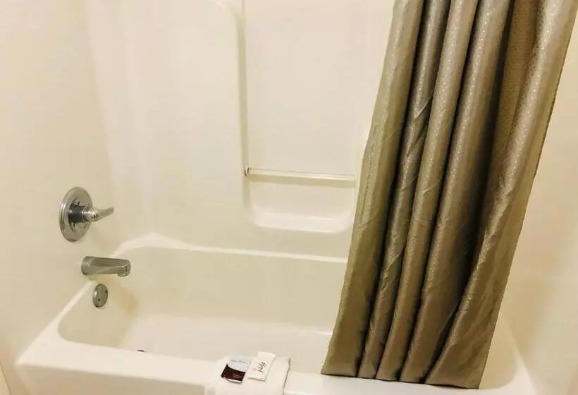 キングサイズベッドのスイートルーム, Ozark Inn & Suites