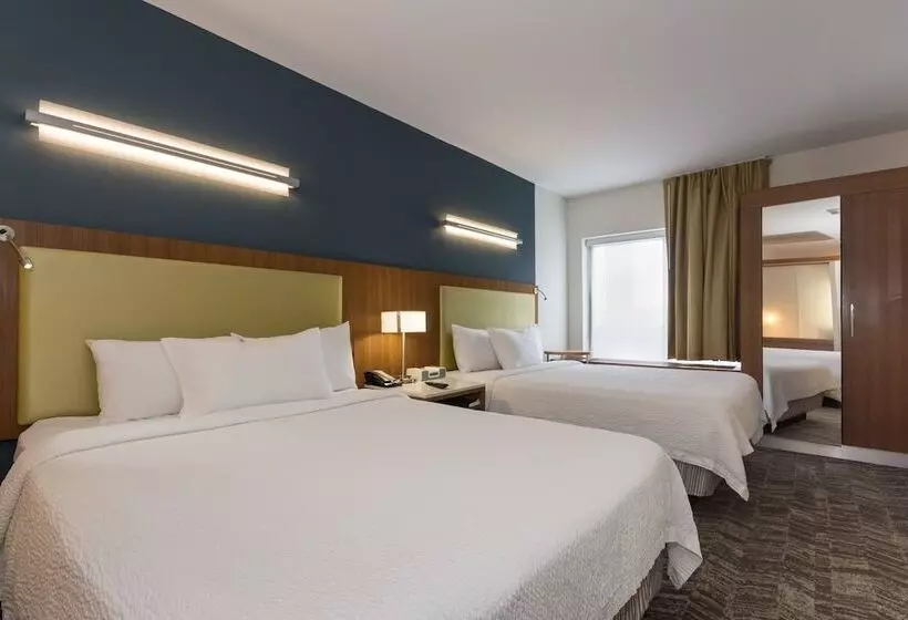 スタンダードスタジオ, Springhill Suites By Marriott Charlotte Ballantyne