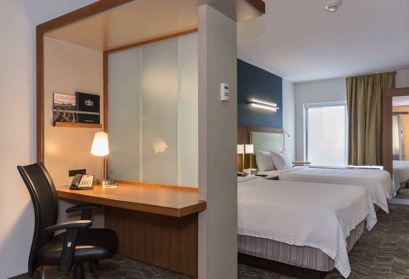 标准工作室, Springhill Suites By Marriott Charlotte Ballantyne