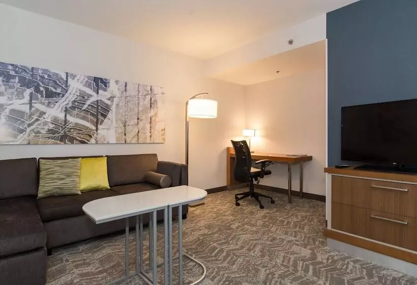 スタンダードスタジオ, Springhill Suites By Marriott Charlotte Ballantyne