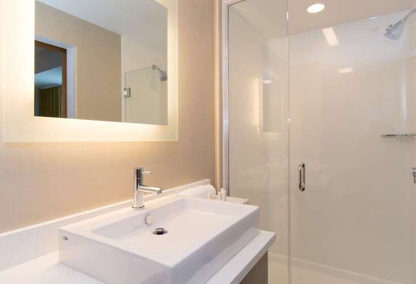 Студия Стандарт, Springhill Suites By Marriott Charlotte Ballantyne