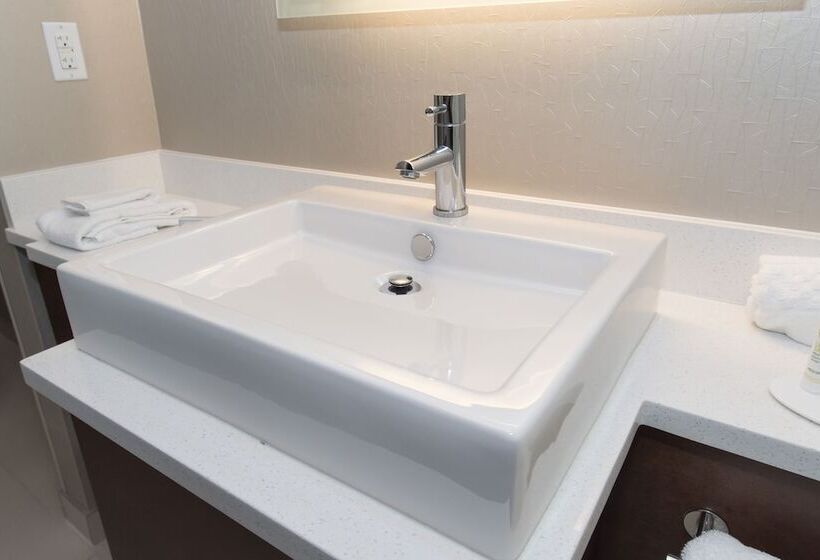 标准工作室, Springhill Suites By Marriott Charlotte Ballantyne