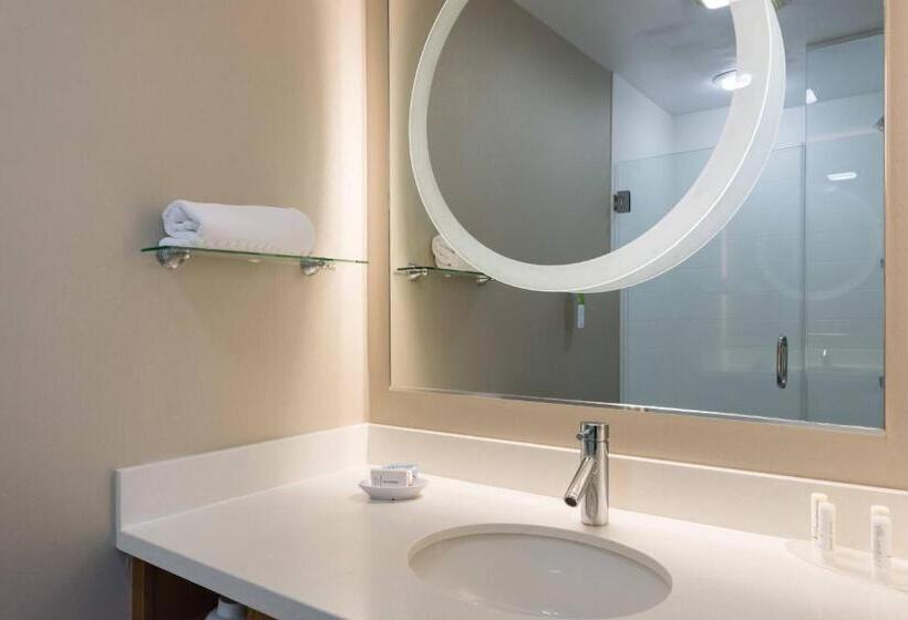 带大床的标准工作室, Springhill Suites By Marriott Charlotte Ballantyne