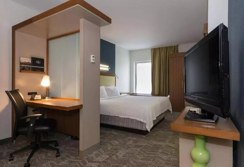 キングサイドベッドのスタンダードワンルーム, Springhill Suites By Marriott Charlotte Ballantyne