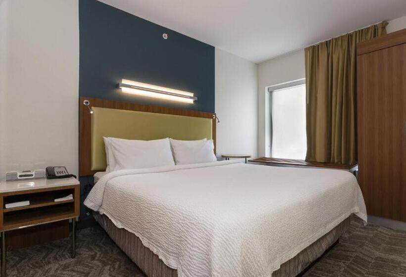 Студио Стандарт Кровать Кинг, Springhill Suites By Marriott Charlotte Ballantyne