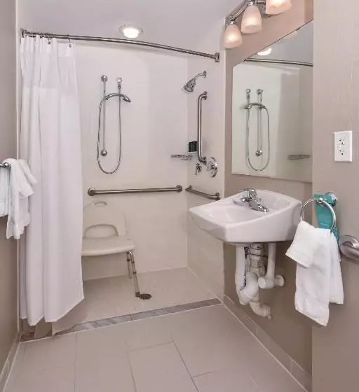 キングサイズベッドのスイートルーム, Springhill Suites By Marriott Charlotte Ballantyne