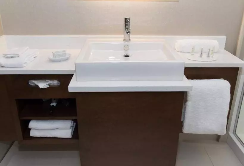 キングサイズベッドのスイートルーム, Springhill Suites By Marriott Charlotte Ballantyne