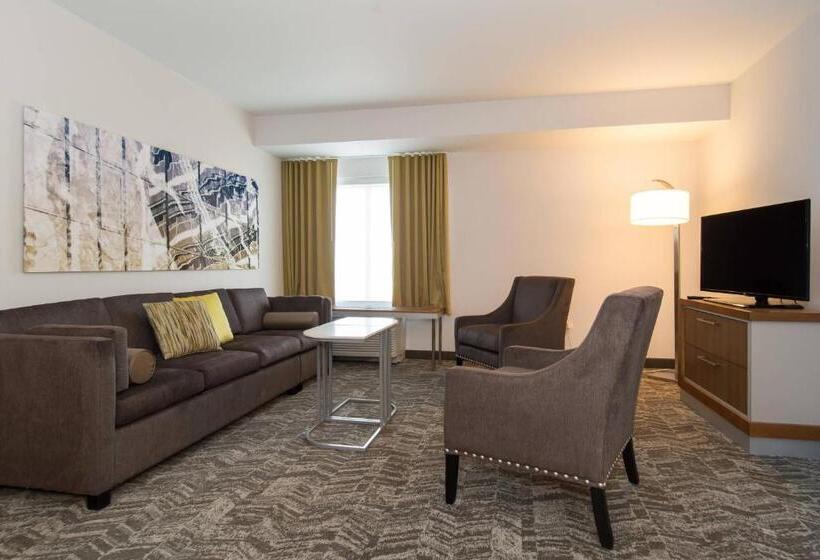 带大床的套房, Springhill Suites By Marriott Charlotte Ballantyne