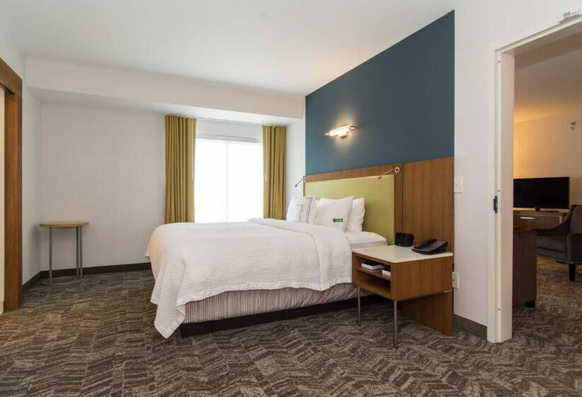 带大床的套房, Springhill Suites By Marriott Charlotte Ballantyne