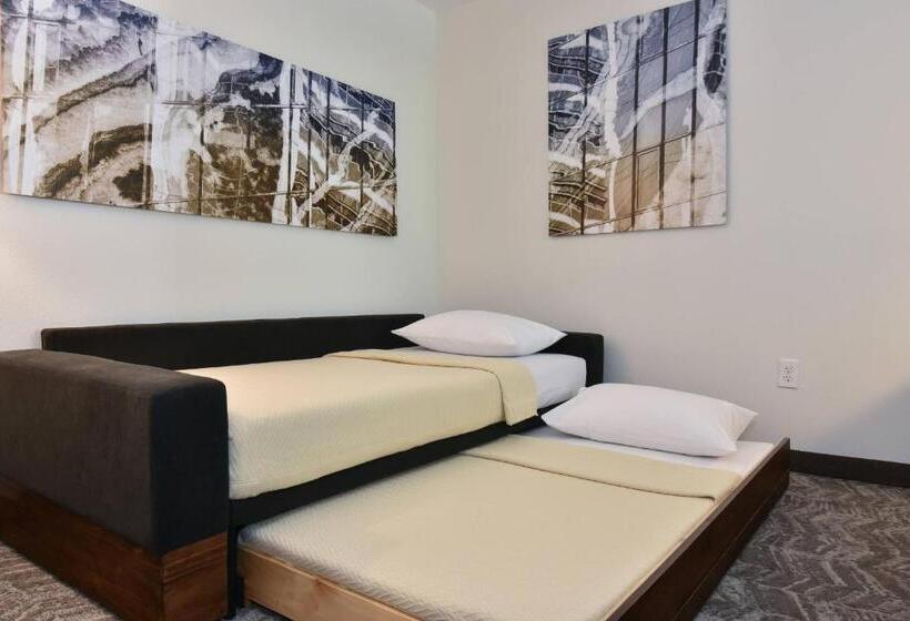 带大床的标准工作室, Springhill Suites Columbia Downtown The Vista