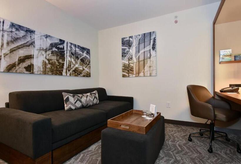 带大床的标准工作室, Springhill Suites Columbia Downtown The Vista