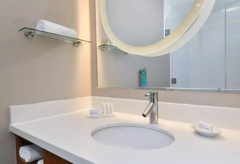 スタンダードスタジオ, Springhill Suites Columbia Downtown The Vista