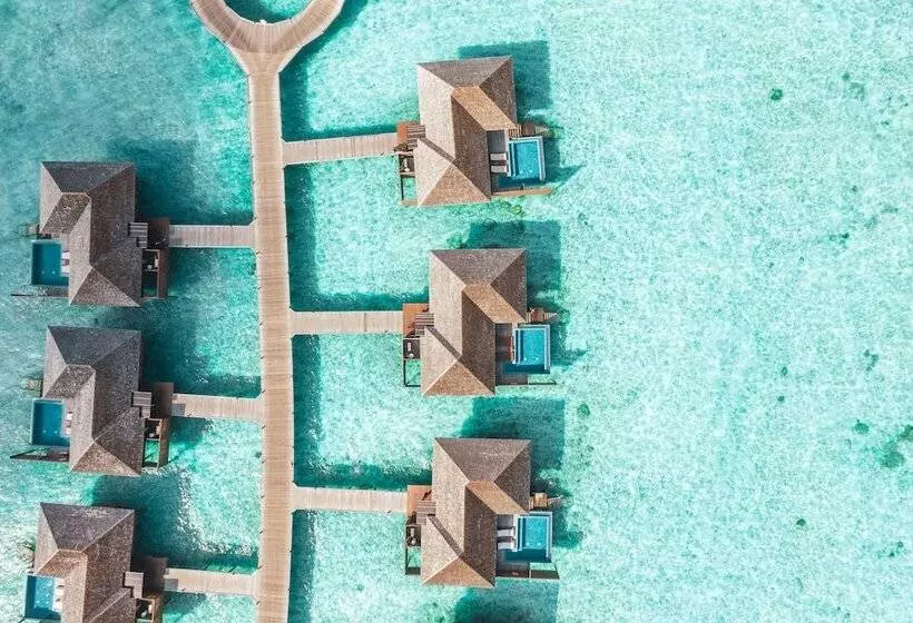 ویلای لوکس 1 خوابه, Hideaway Beach Resort & Spa