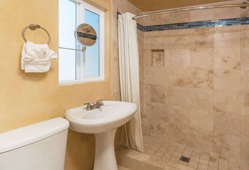 스탠다드 룸, Adara Palm Springs