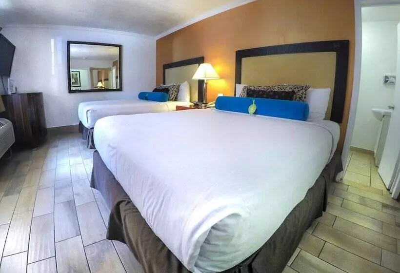 スタンダードルーム, Adara Palm Springs
