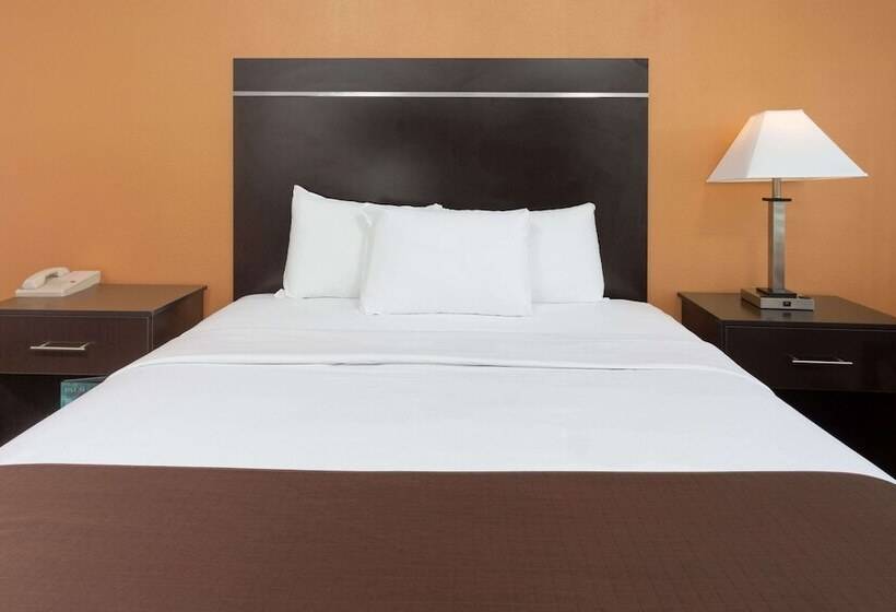 스탠다드 룸, Adara Palm Springs