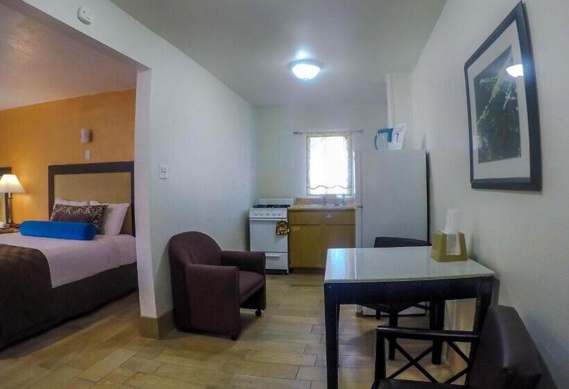 스탠다드 스튜디오 킹침대, Adara Palm Springs