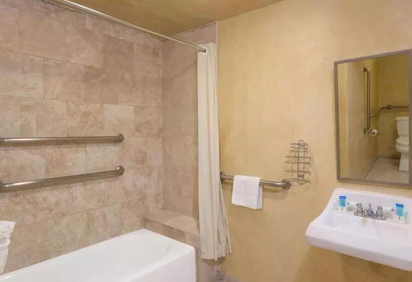 身障者適用スタンダードルーム, Adara Palm Springs