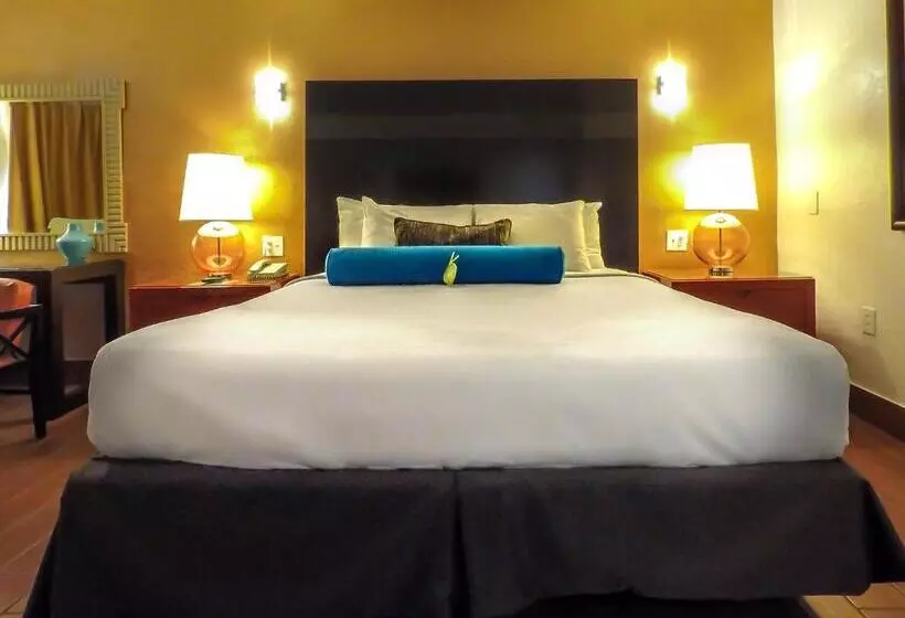 身障者適用スタンダードルーム, Adara Palm Springs