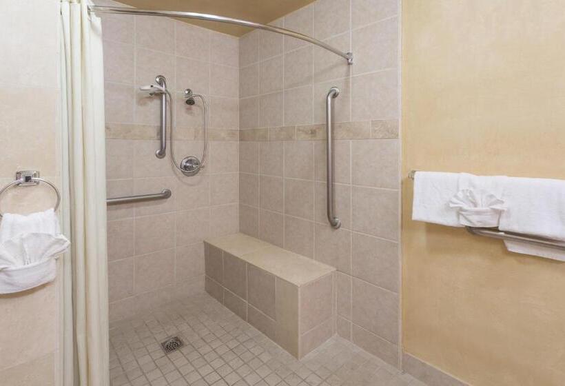 장애인을 위한 킹사이즈 침대 스탠다드 룸, Adara Palm Springs