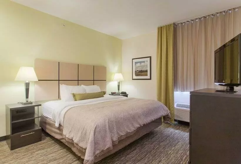 スタンダードスタジオ, Candlewood Suites San Marcos, An Ihg