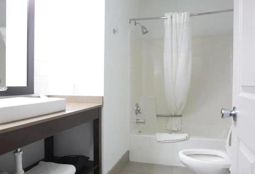 غرفة قياسية سرير كينج, Country Inn & Suites By Radisson, Sparta, Wi