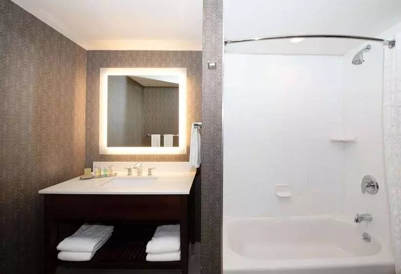 ２ダブルベッドのスタンダードルーム, Doubletree By Hilton Hotel & Suites Charleston Airport