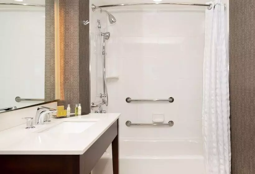 身障者適用キングサイズベッドルーム, Doubletree By Hilton Hotel & Suites Charleston Airport