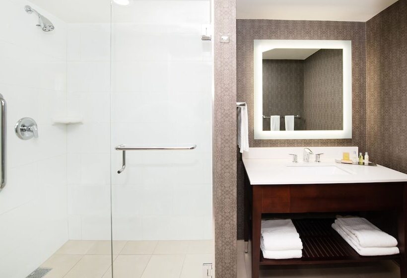 Номер Стандарт Кровать Кинг Адаптированный для Инвалидов, Doubletree By Hilton Hotel & Suites Charleston Airport