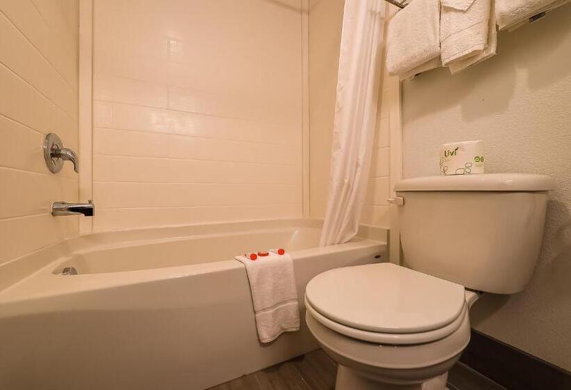 غرفة قياسية, Knights Inn Newport