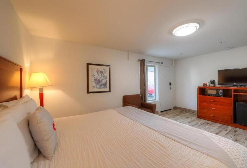 غرفة قياسية سرير كينج, Knights Inn Newport