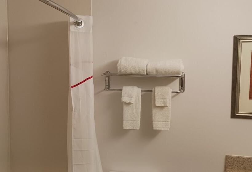 디럭스 룸, Red Roof Inn & Suites Midland