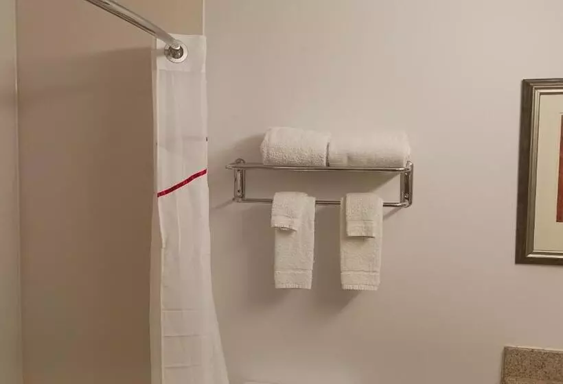 Deluxe-huone, Red Roof Inn & Suites Midland
