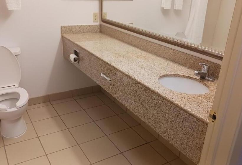 디럭스 룸 킹사이즈 침대, Red Roof Inn & Suites Midland