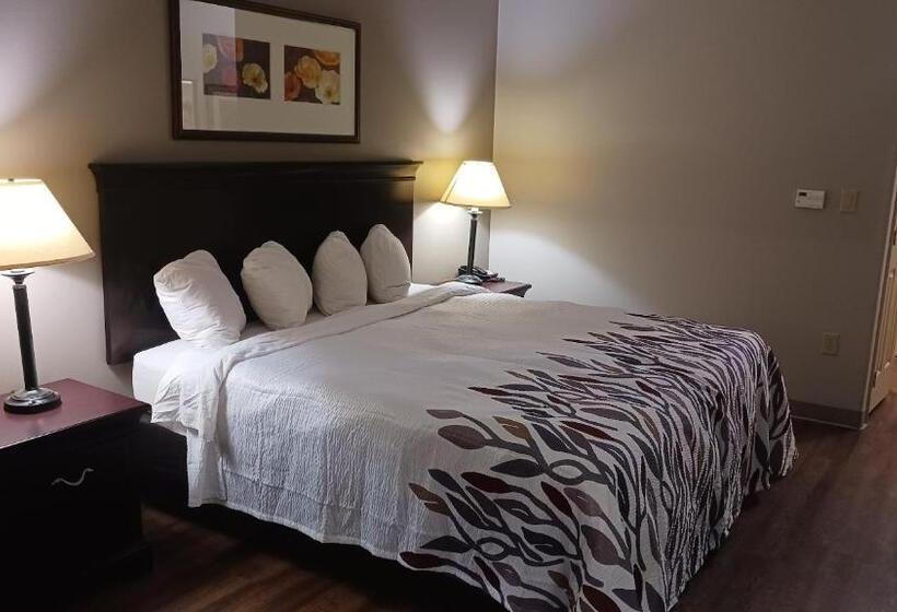 اتاق سوپریور با تخت بزرگ, Red Roof Inn & Suites Midland