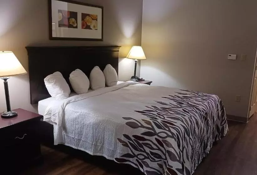 Superior-huone King-vuode, Red Roof Inn & Suites Midland