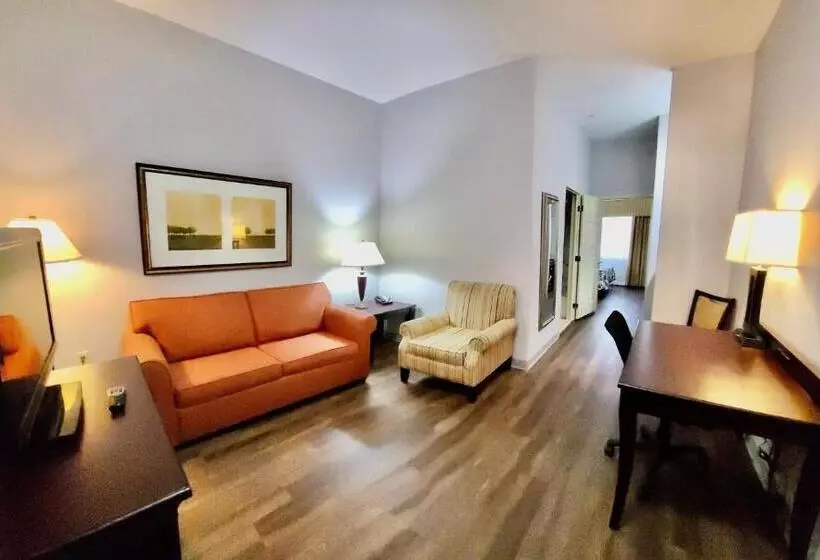 Sviitti King-vuode, Red Roof Inn & Suites Midland