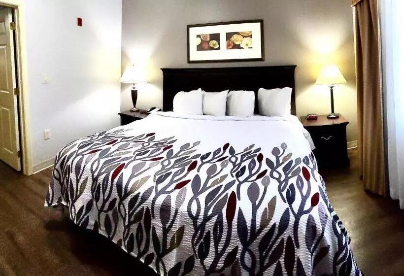 Sviitti King-vuode, Red Roof Inn & Suites Midland