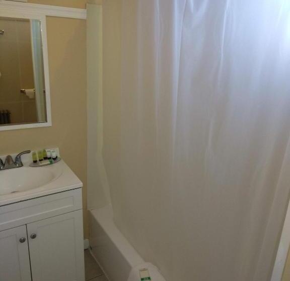 Люкс Deluxe 2 Спальни, Wayne