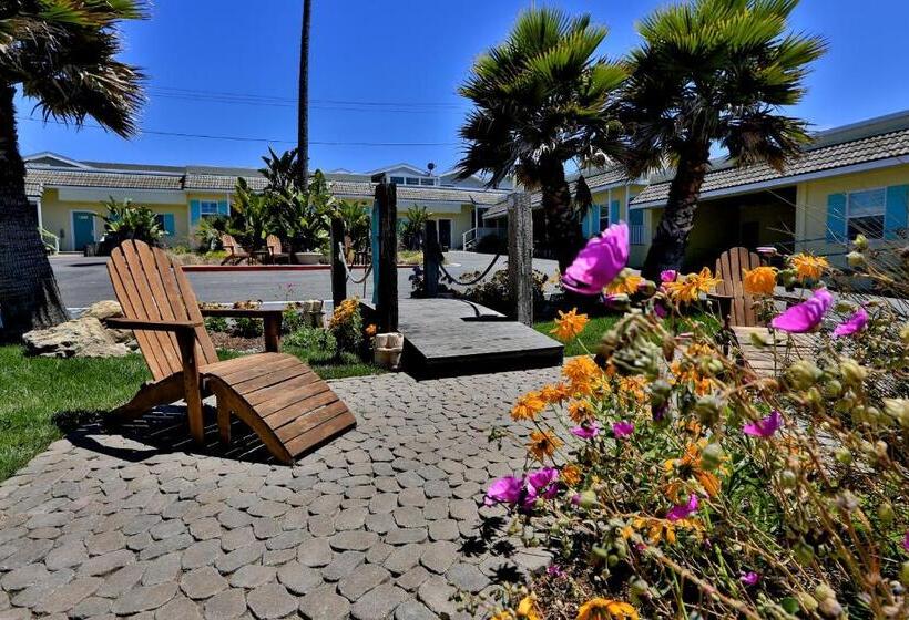 스탠다드 룸 킹사이즈 침대, Beach Bungalow Inn And Suites