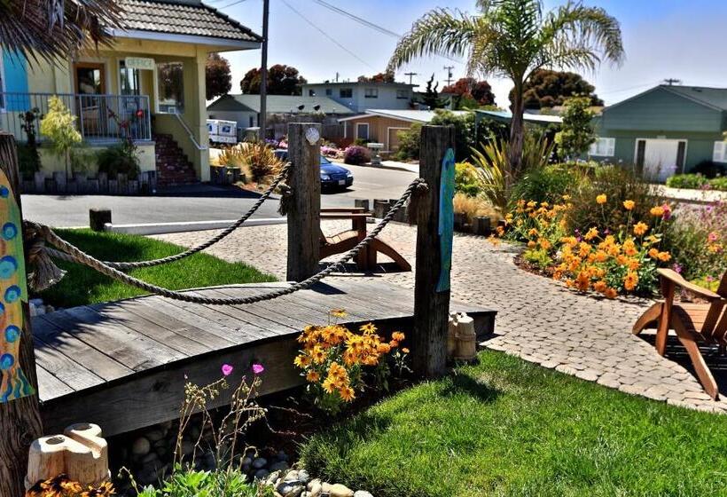 غرفة ديلوكس, Beach Bungalow Inn And Suites